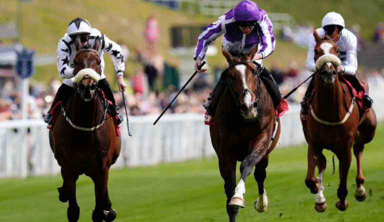 How Horses Learn to Stand Calmly in the Gate