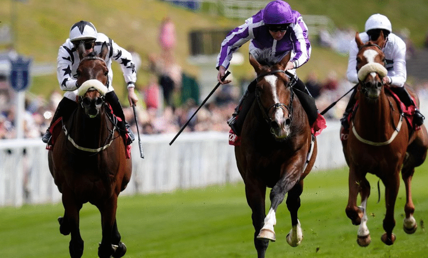How Horses Learn to Stand Calmly in the Gate