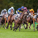 How Horses Pass Down Athletic Traits