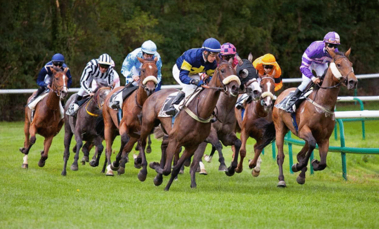 How Horses Pass Down Athletic Traits