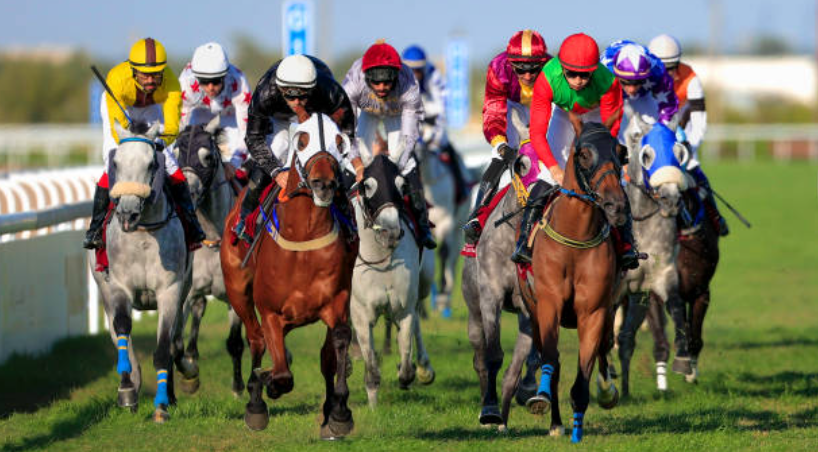 How Horses Process Their Surroundings