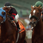 How Horses Respond to Human Emotion