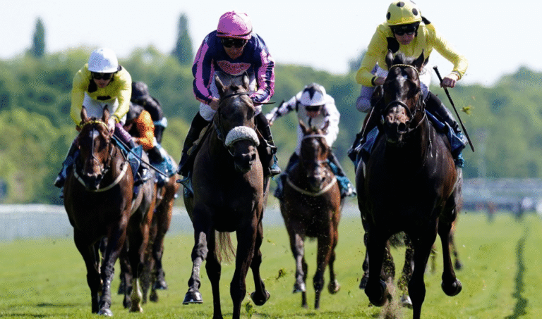 How Horses Learn to Handle Tight Turns