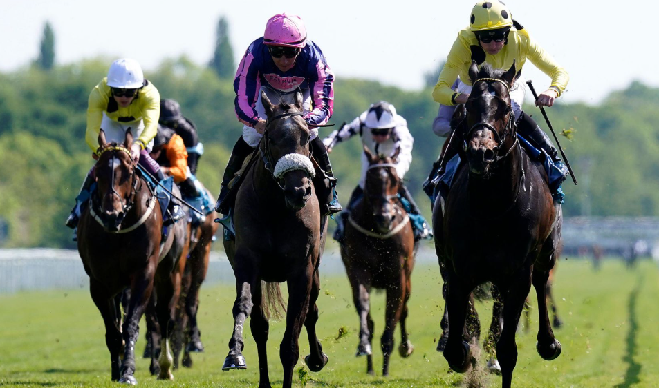 How Horses Learn to Handle Tight Turns